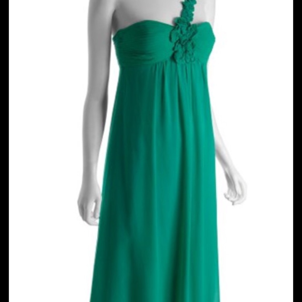 BCBG dress